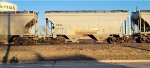 CRDX 22737